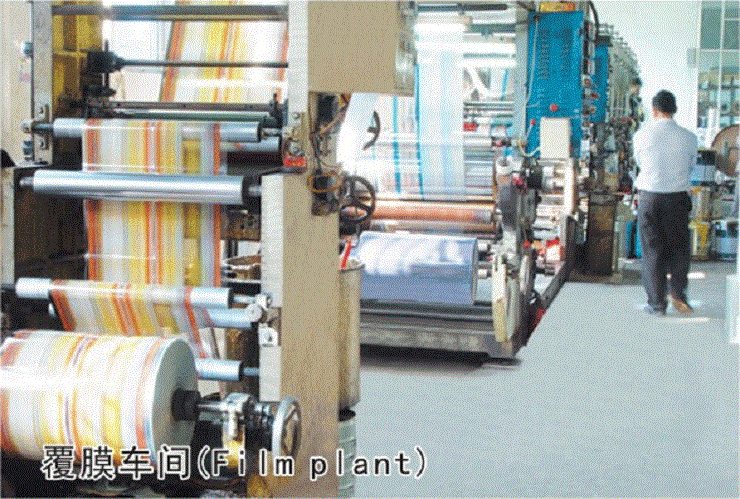 6.gif